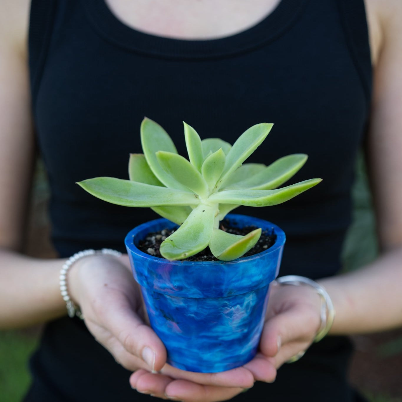 Recycled plastic pot plant in Blueberry blue by Banish, eco-friendly planter made from recycled milk bottle lids, with a green succulent plant against a blurred background