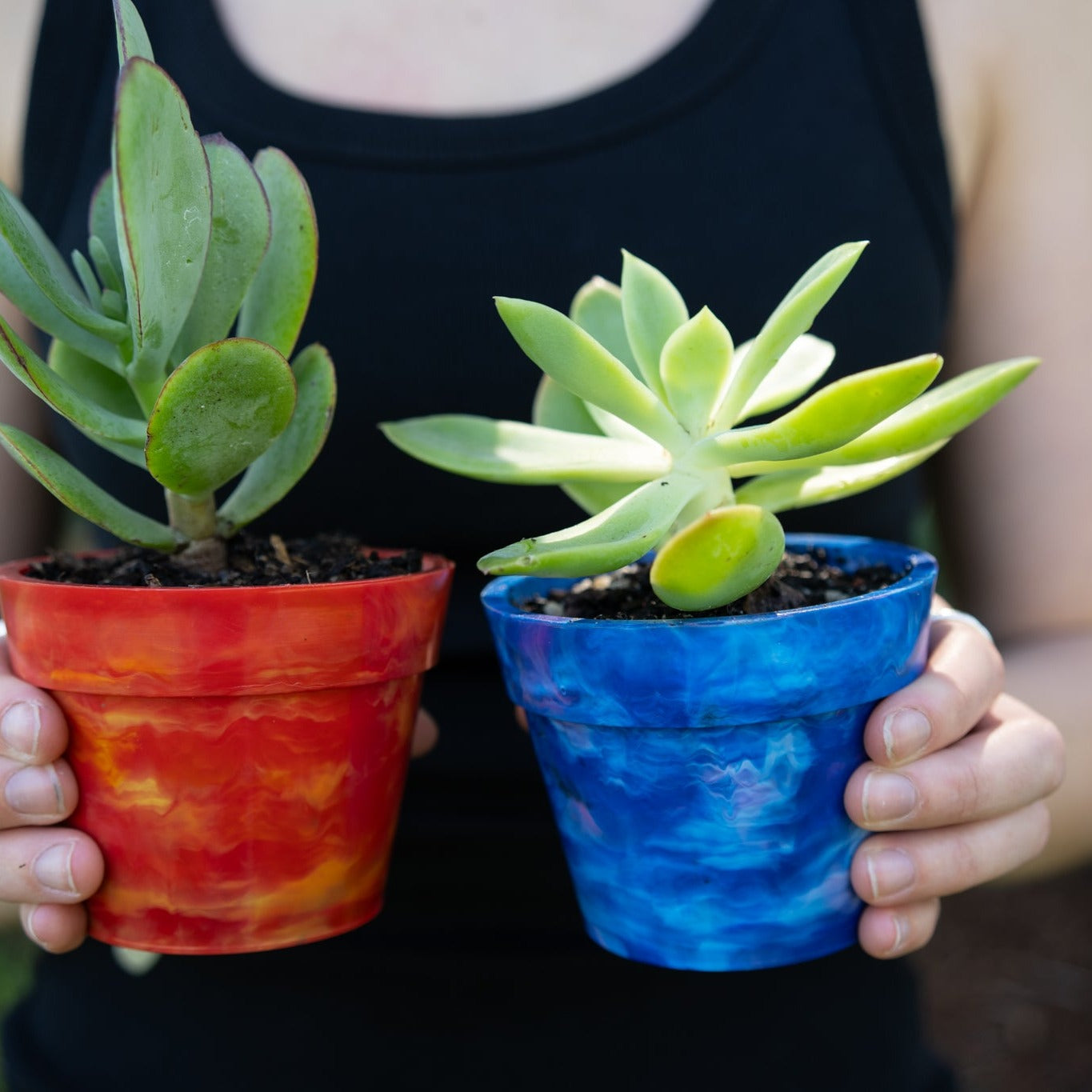 Two BRAD recycled plastic pot plants in Strawberry red and Blueberry blue with succulents, sustainable 2-pack planters handmade from recycled milk bottle lids in Australia