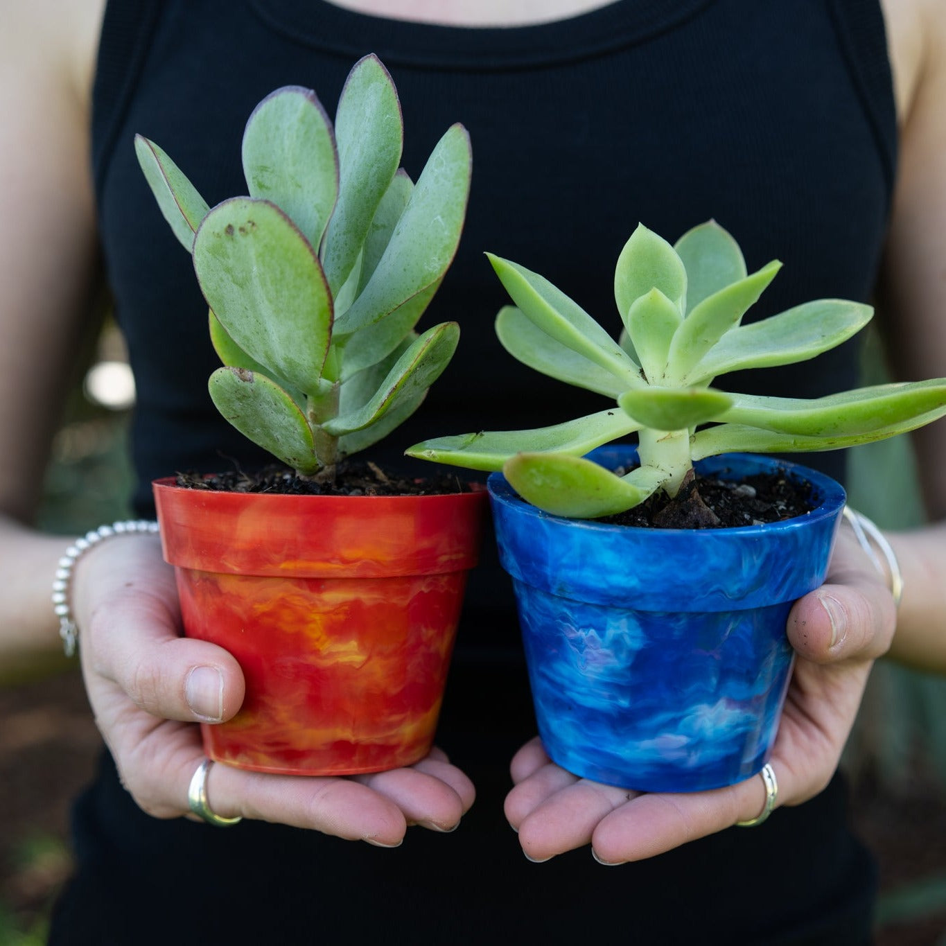 Close-up of two BRAD recycled plastic pot plants in Strawberry red and Blueberry blue, sustainable planters made at Banish Sustainability Hub from recycled plastic lids