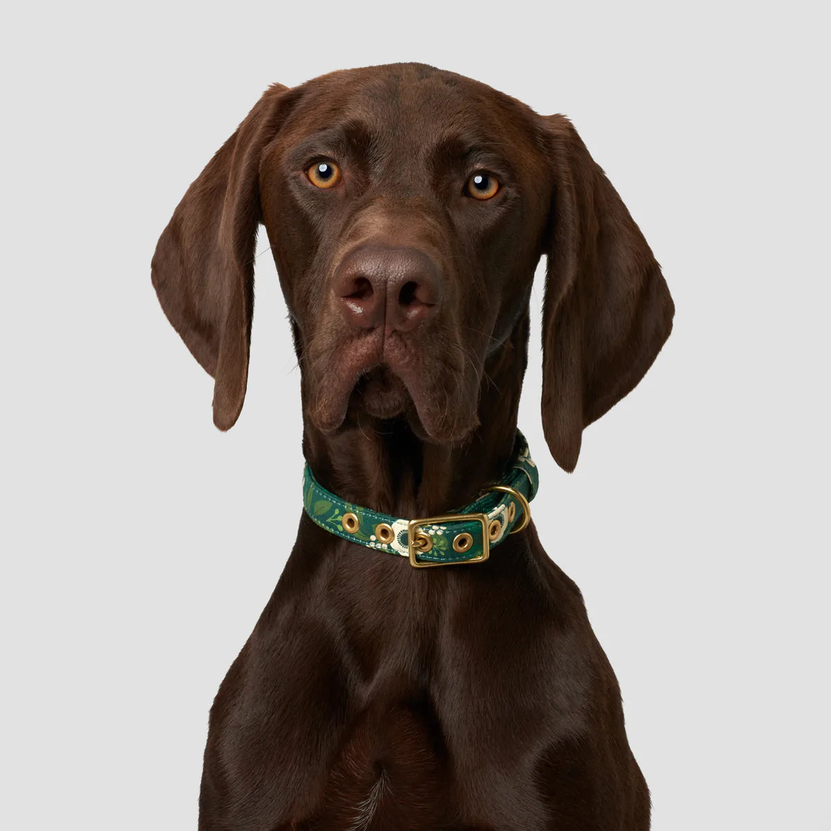 Winter Garden Designer Dog Collar