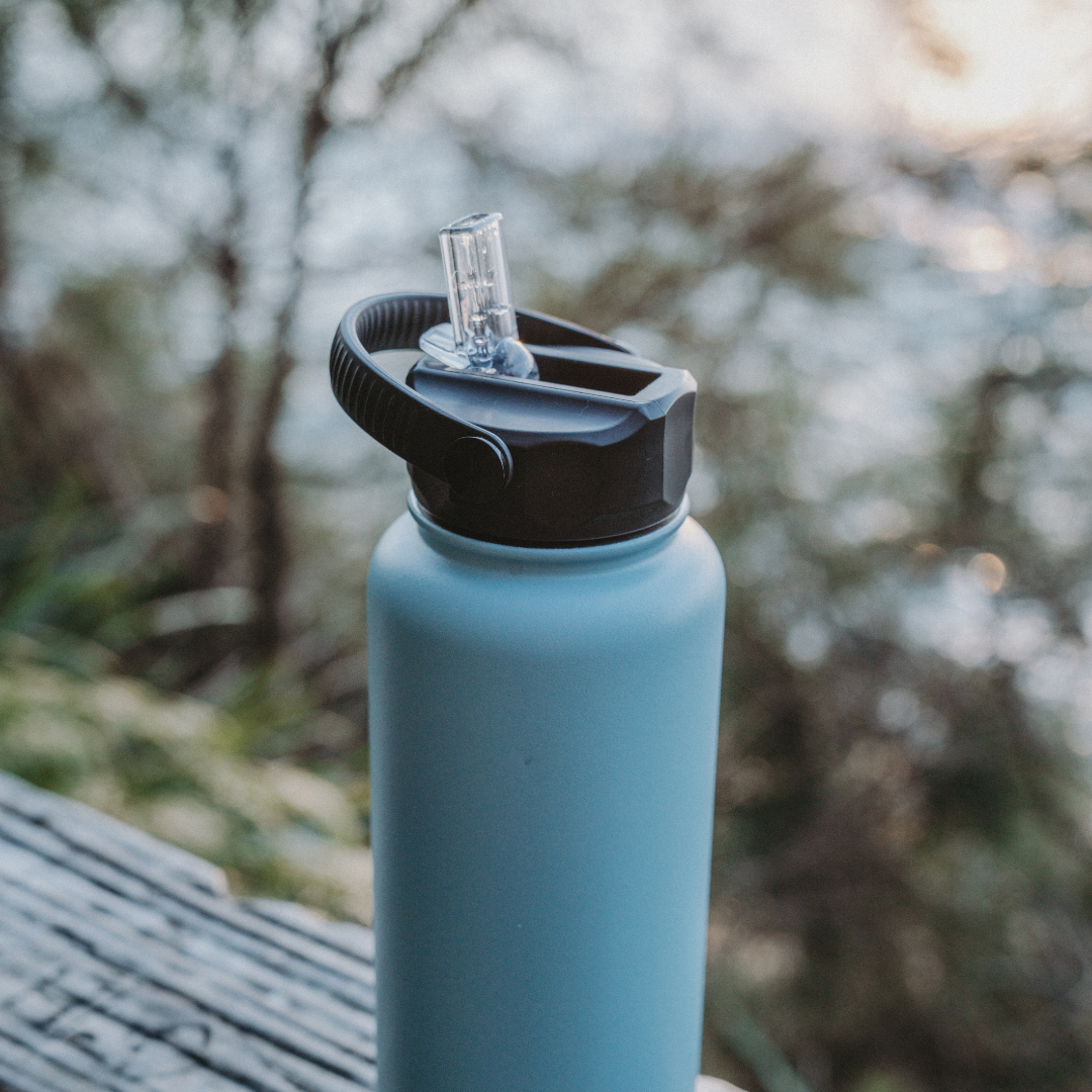 950ml Insulated Sports Bottle w/ Straw Lid