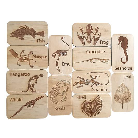Fossil Cards