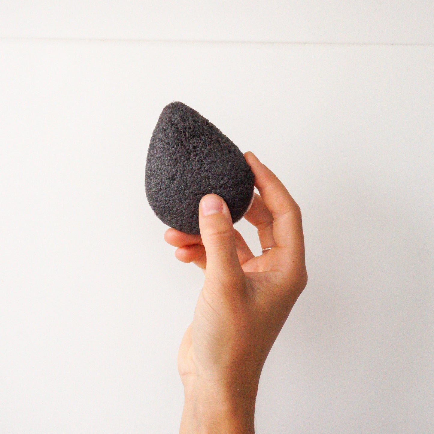 Konjac Sponge (2-pack) - Banish