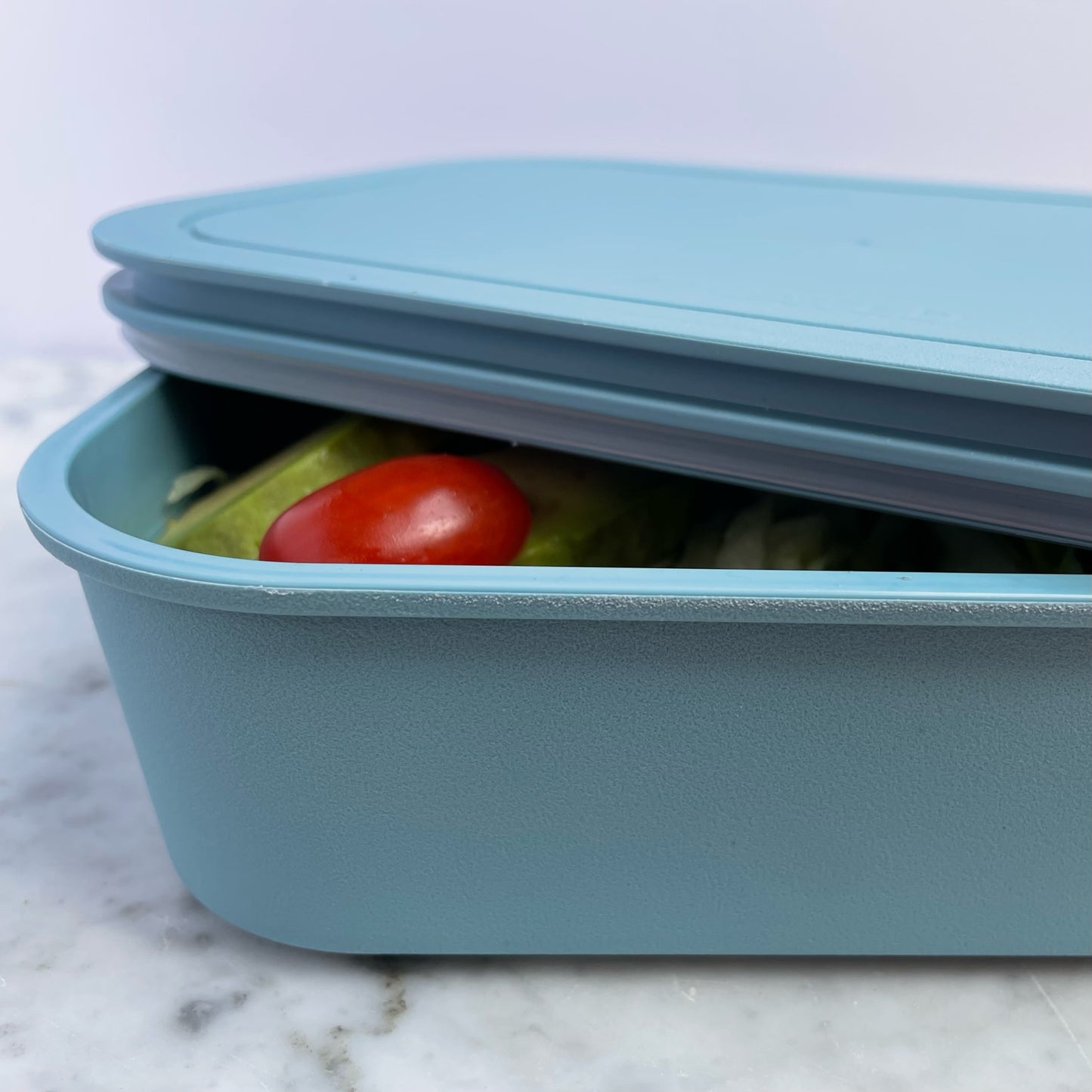 Reusable Recycled Plastic Takeaway Container