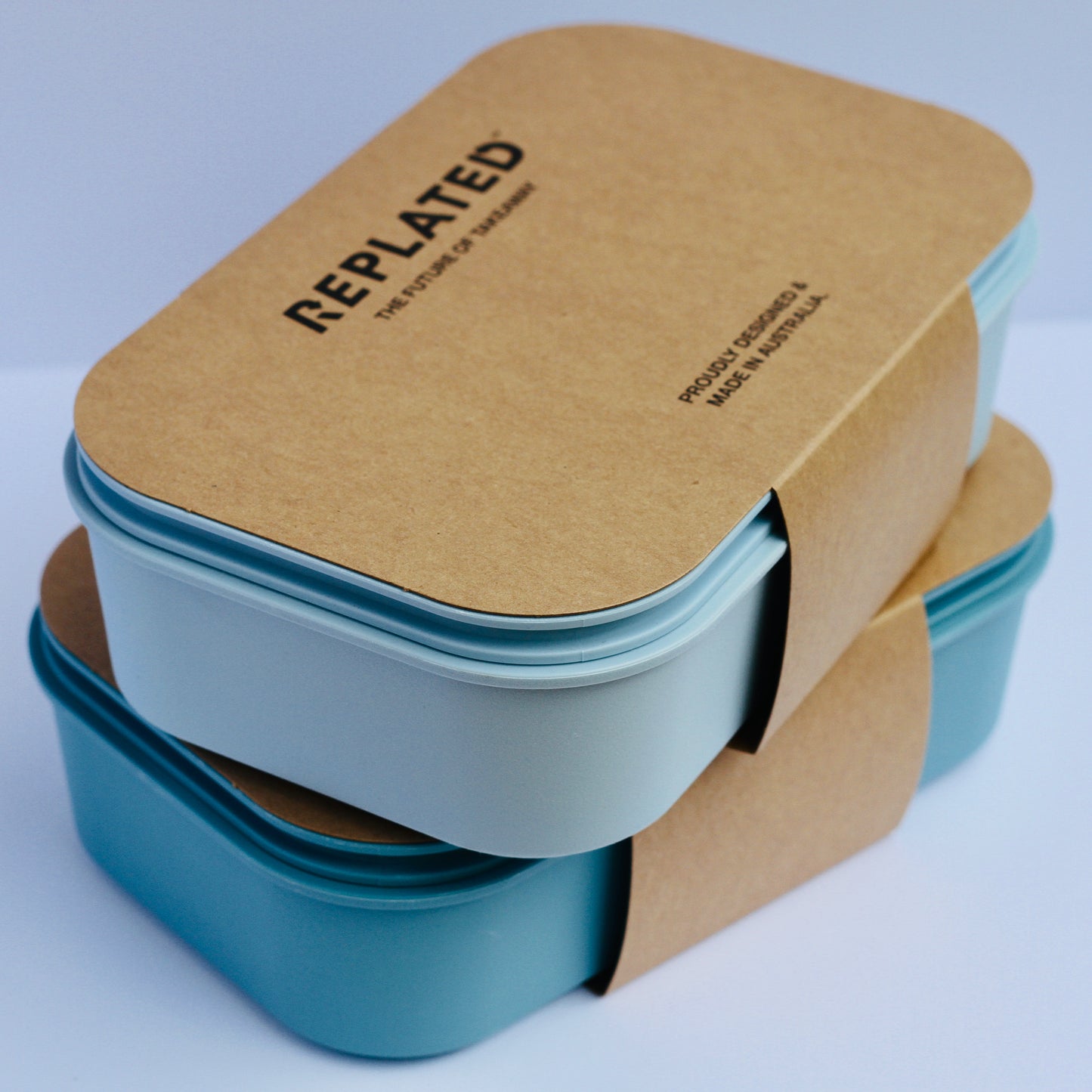 Reusable Recycled Plastic Takeaway Container