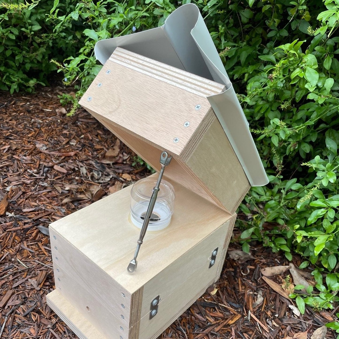 Honey Jar Beehive OATH Box Stingless Australian Native Bee Hive