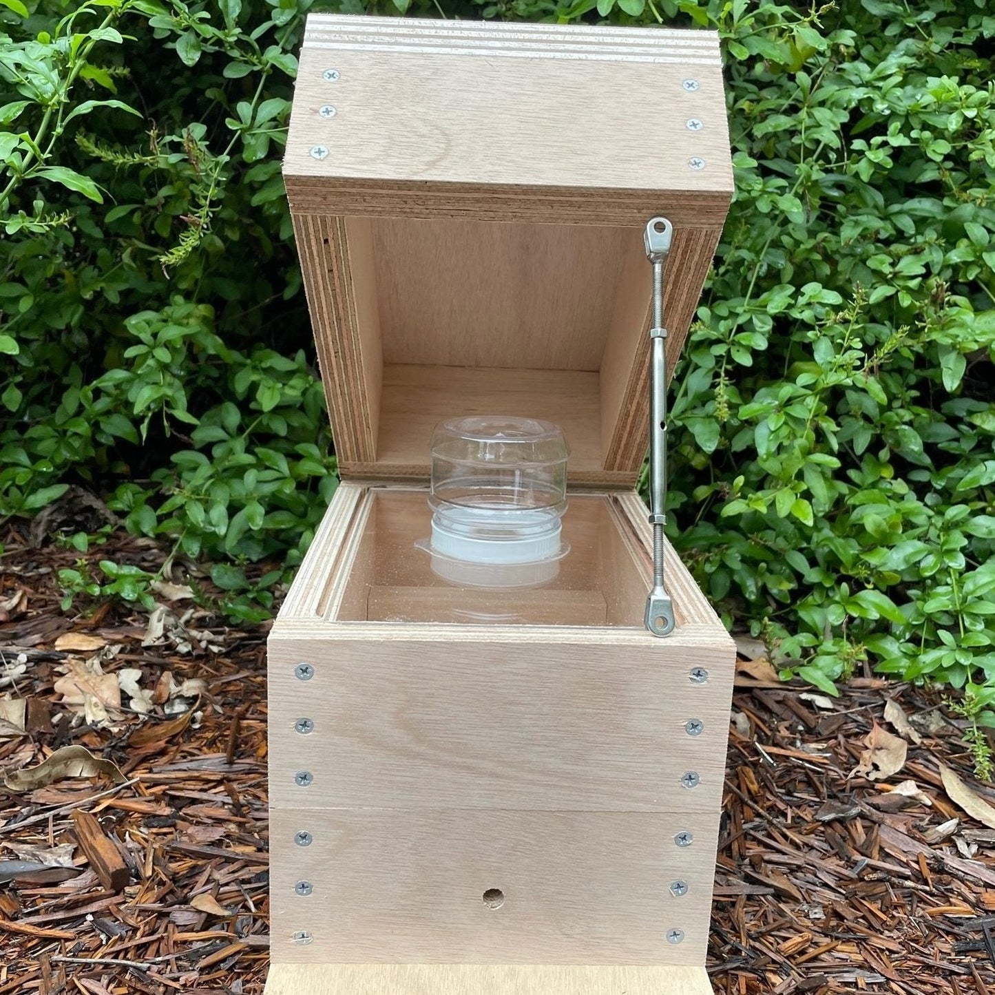 Honey Jar Perspex Beehive OATH Box Stingless Australian Native Bee Hive