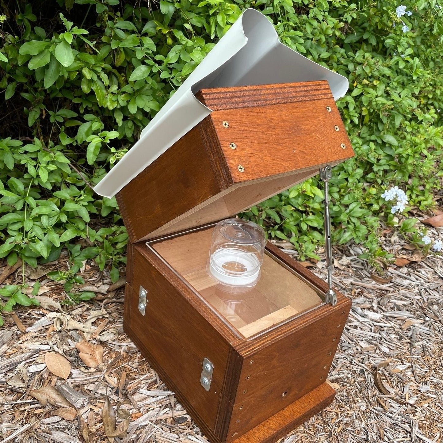 Honey Jar Perspex Beehive OATH Box Stingless Australian Native Bee Hive