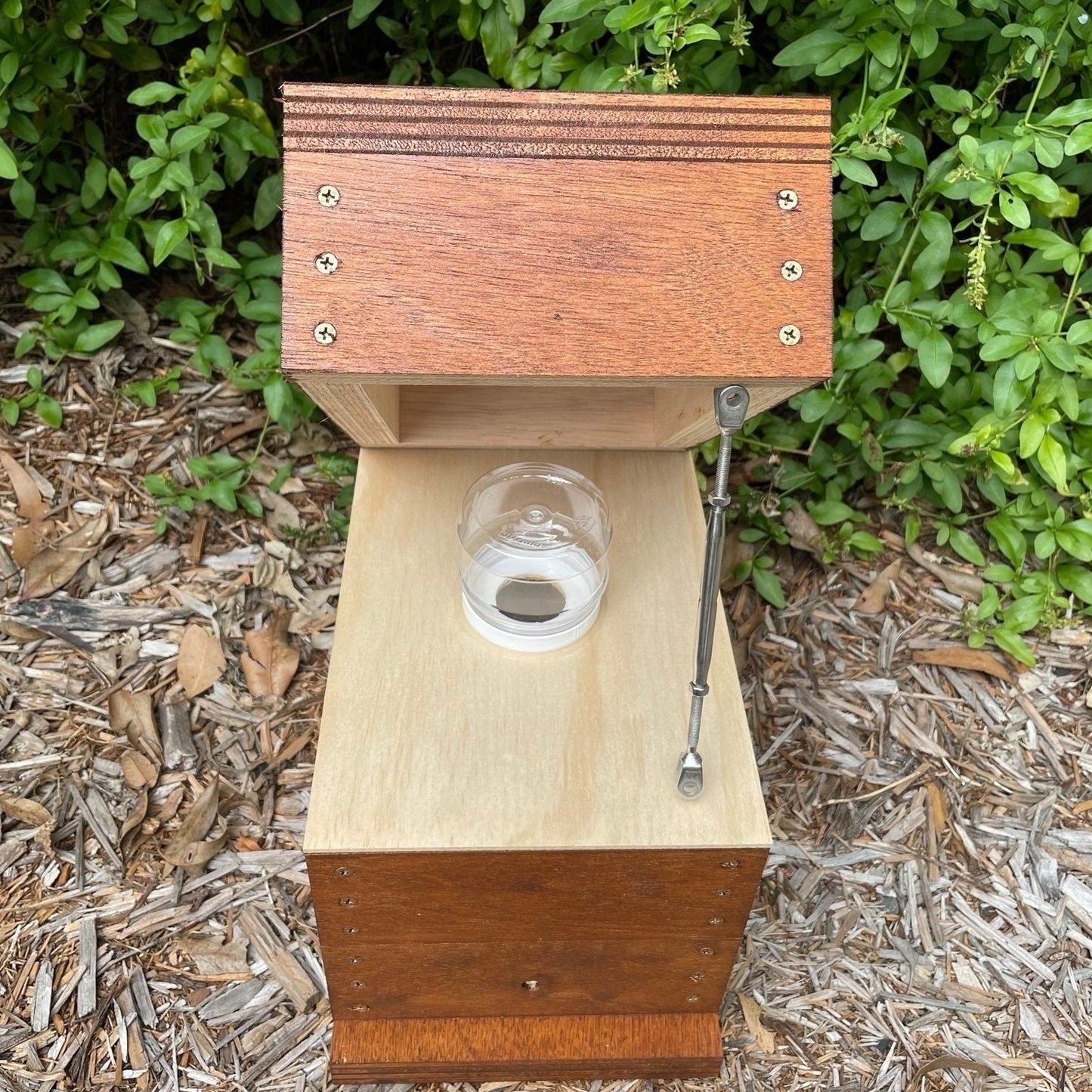 Honey Jar Beehive OATH Box Stingless Australian Native Bee Hive