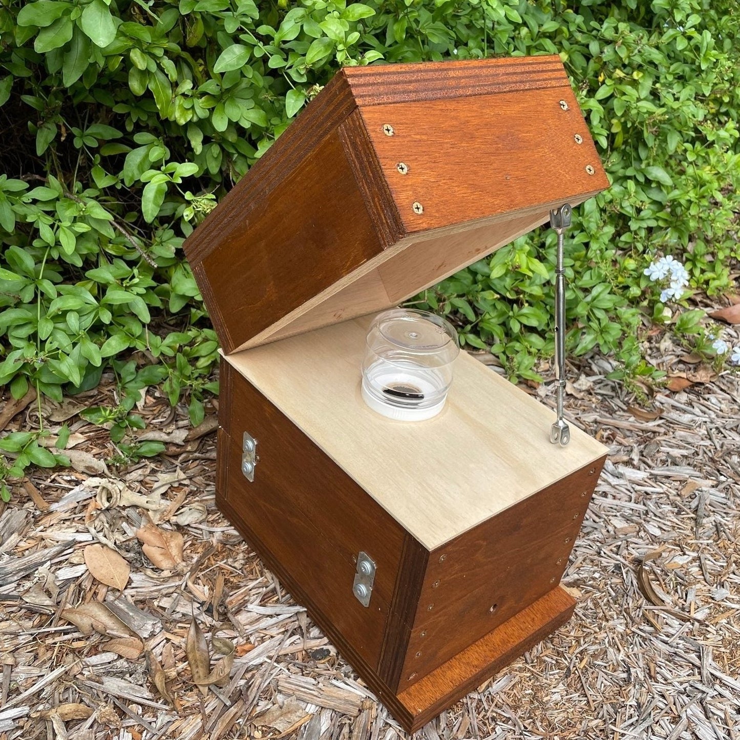 Honey Jar Beehive OATH Box Stingless Australian Native Bee Hive