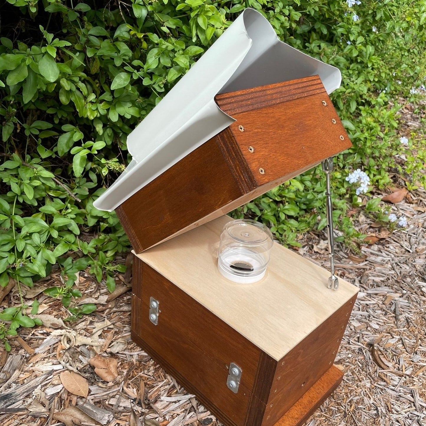 Honey Jar Beehive OATH Box Stingless Australian Native Bee Hive