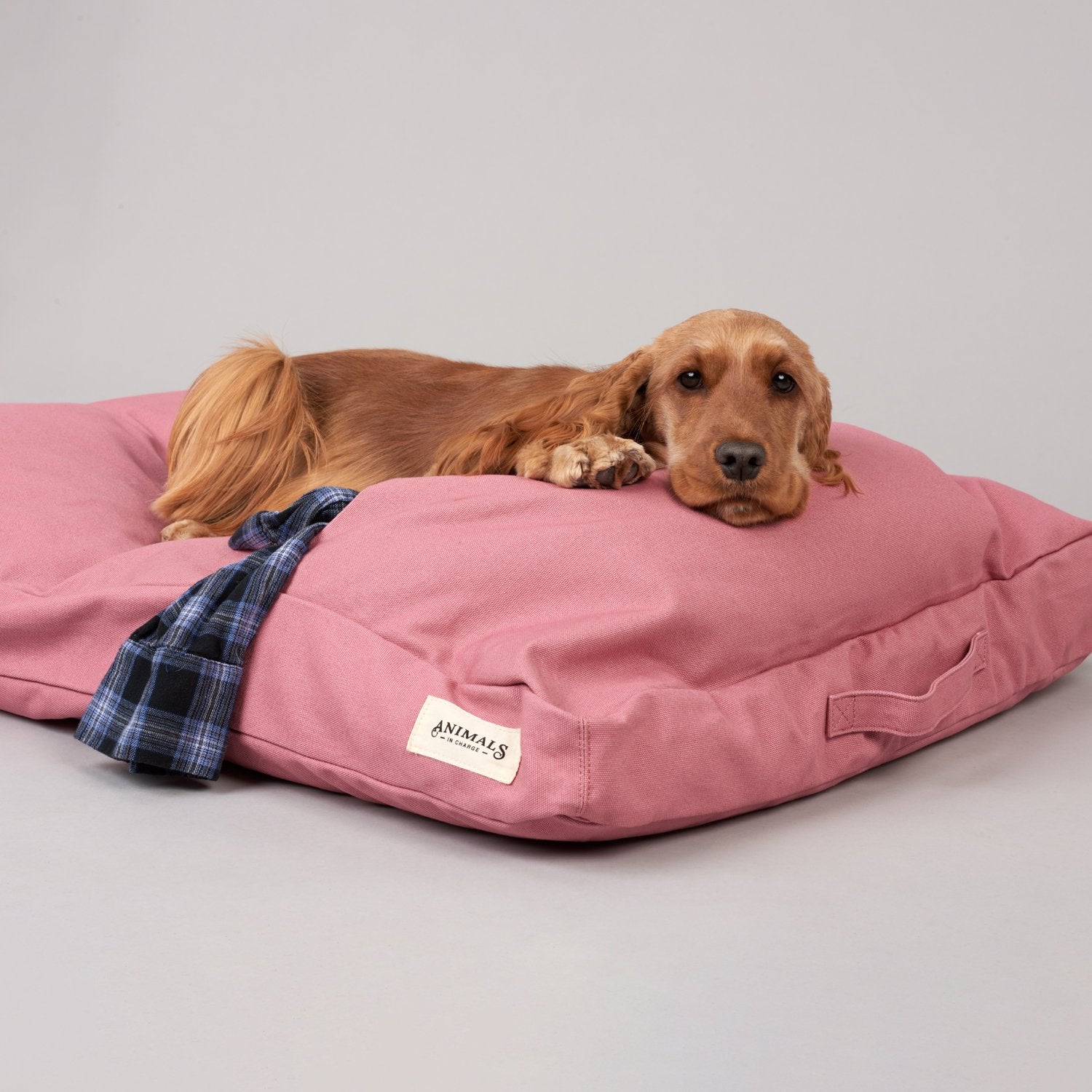 Plush Recycled Dog Beds - Banish
