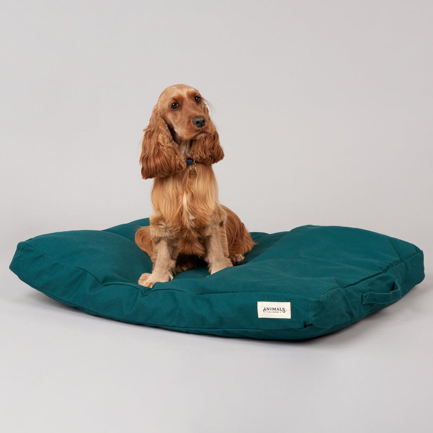 Plush Recycled Dog Beds