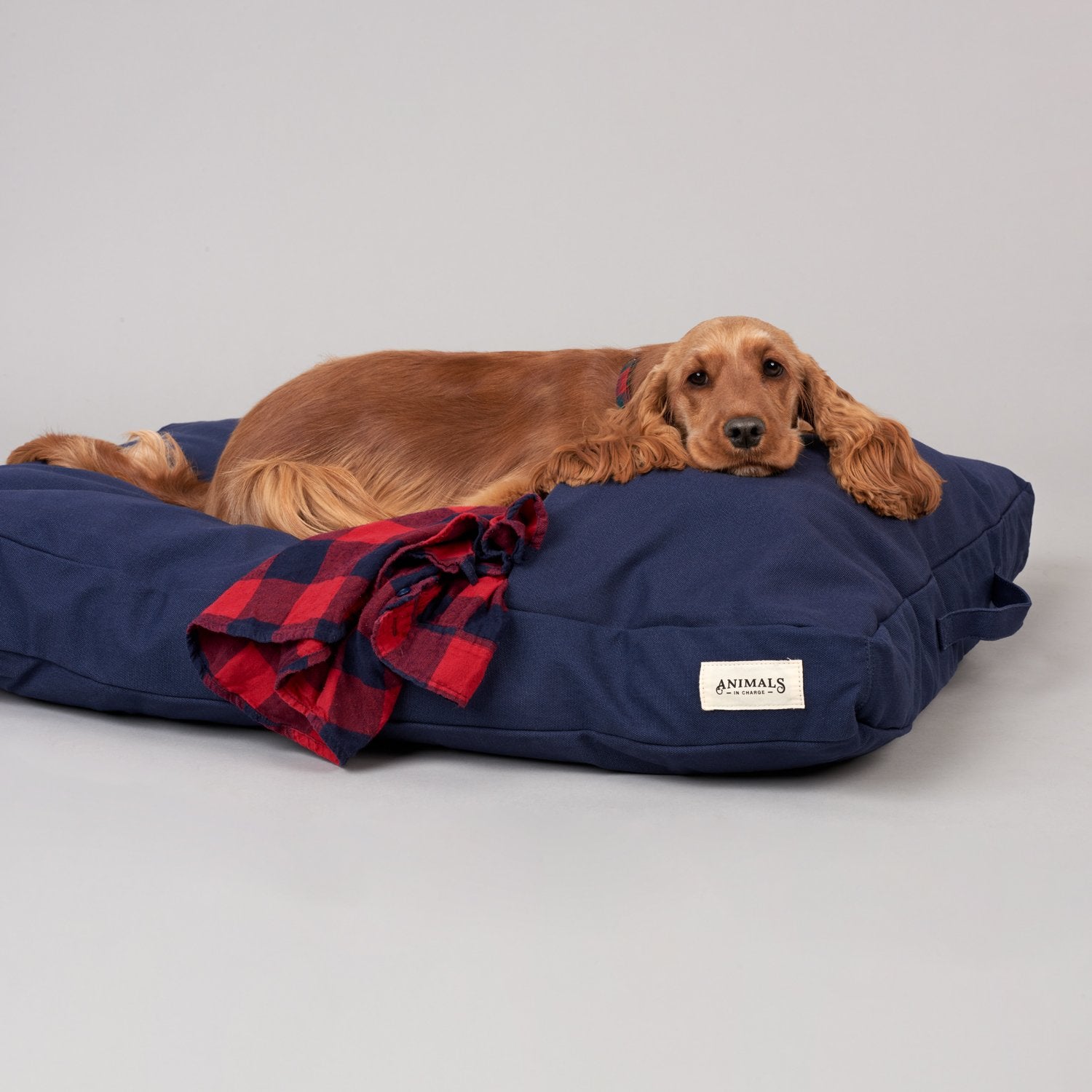 Plush Recycled Dog Beds - Banish
