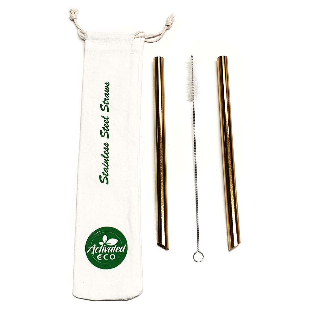 Stainless Steel Bubble Tea Straws (2-pack) - Banish