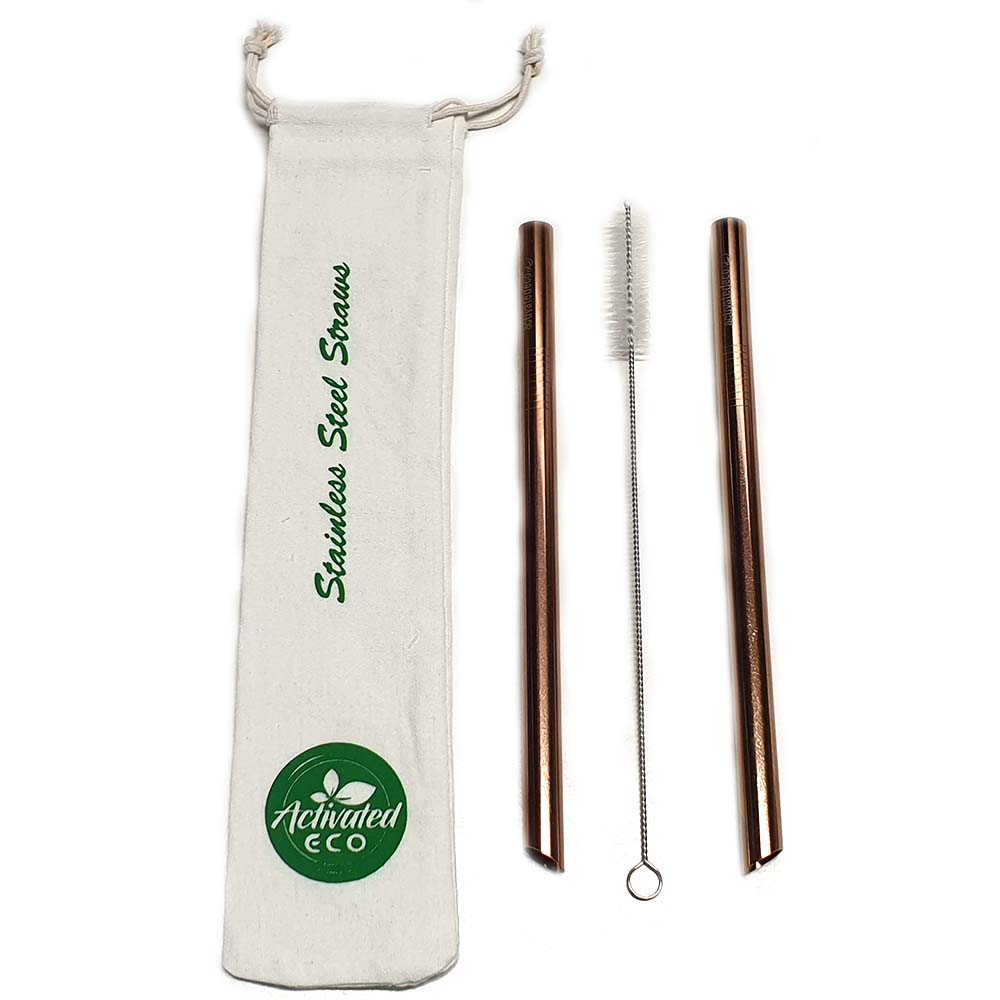 Stainless Steel Bubble Tea Straws (2-pack) - Banish